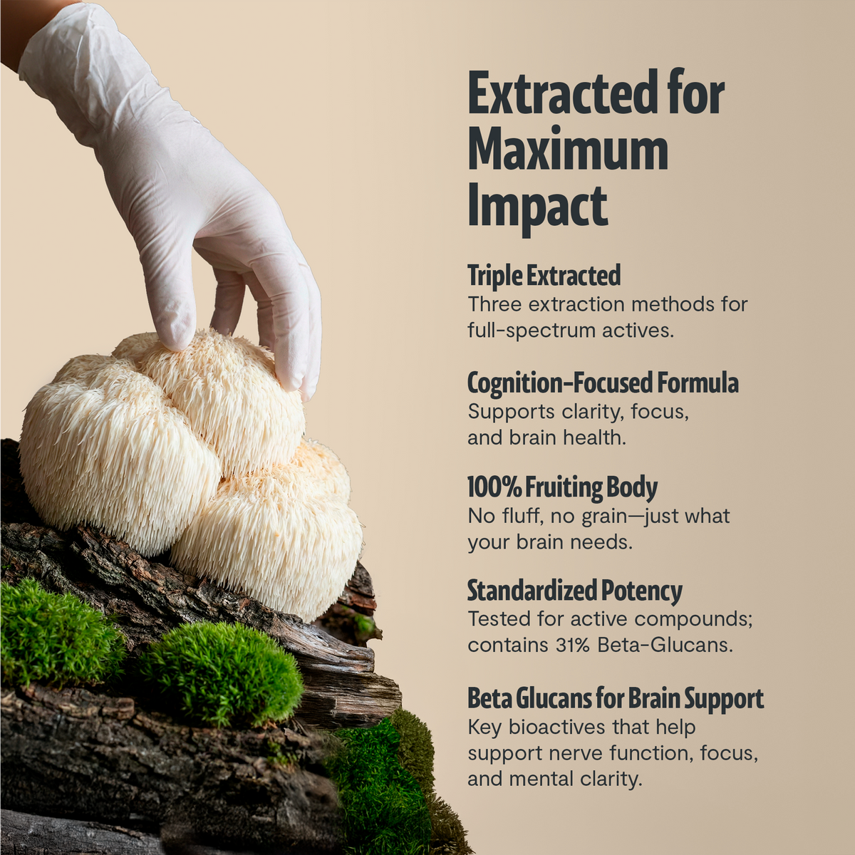 Organic Lion's Mane Capsules | FreshCap Mushrooms
