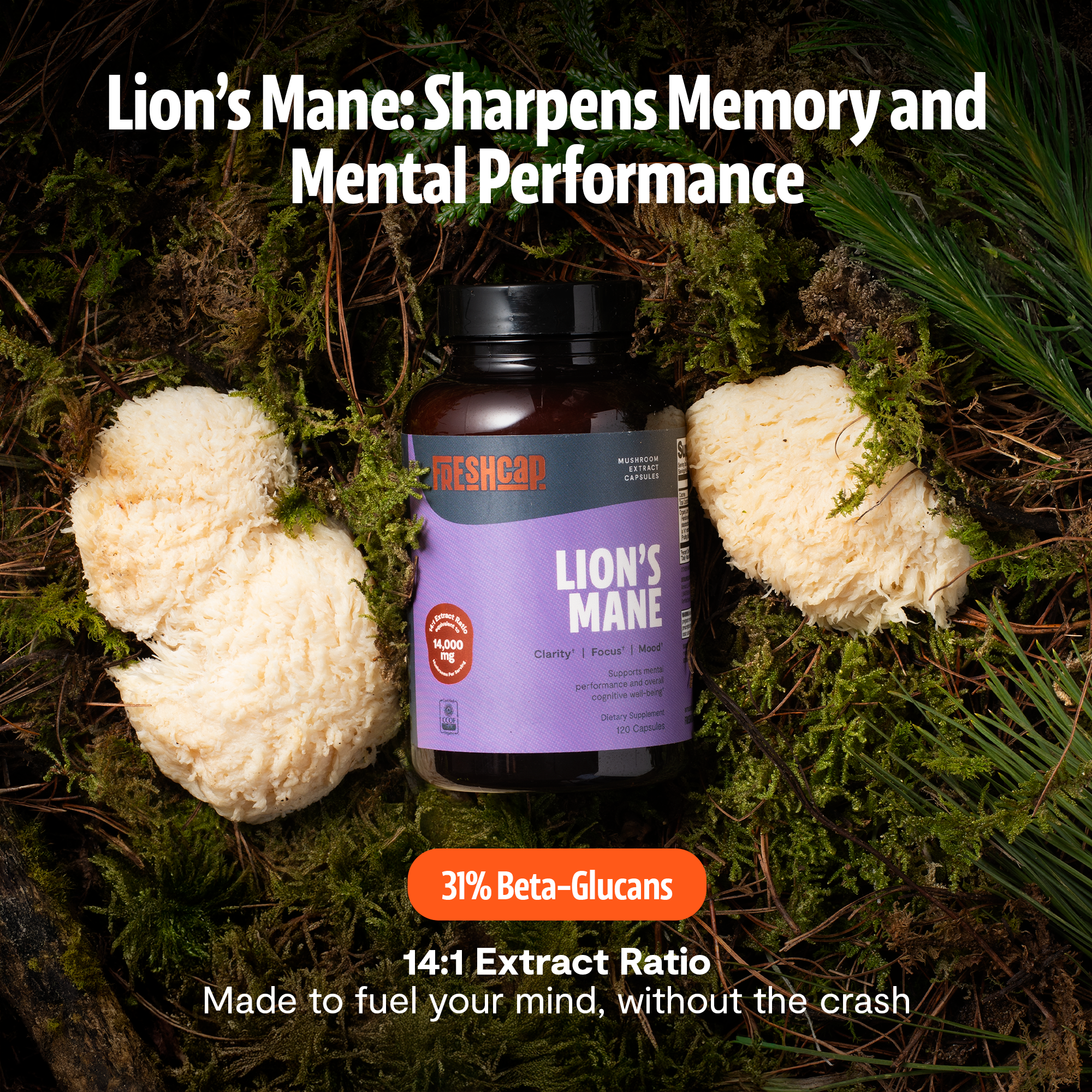 Organic Lion's Mane Capsules | FreshCap Mushrooms