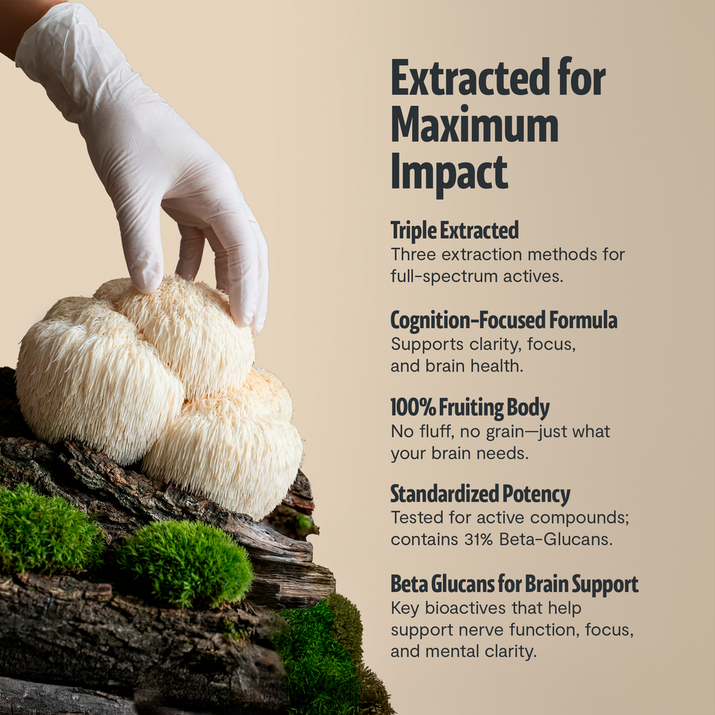 Organic Lion's Mane Capsules | FreshCap Mushrooms