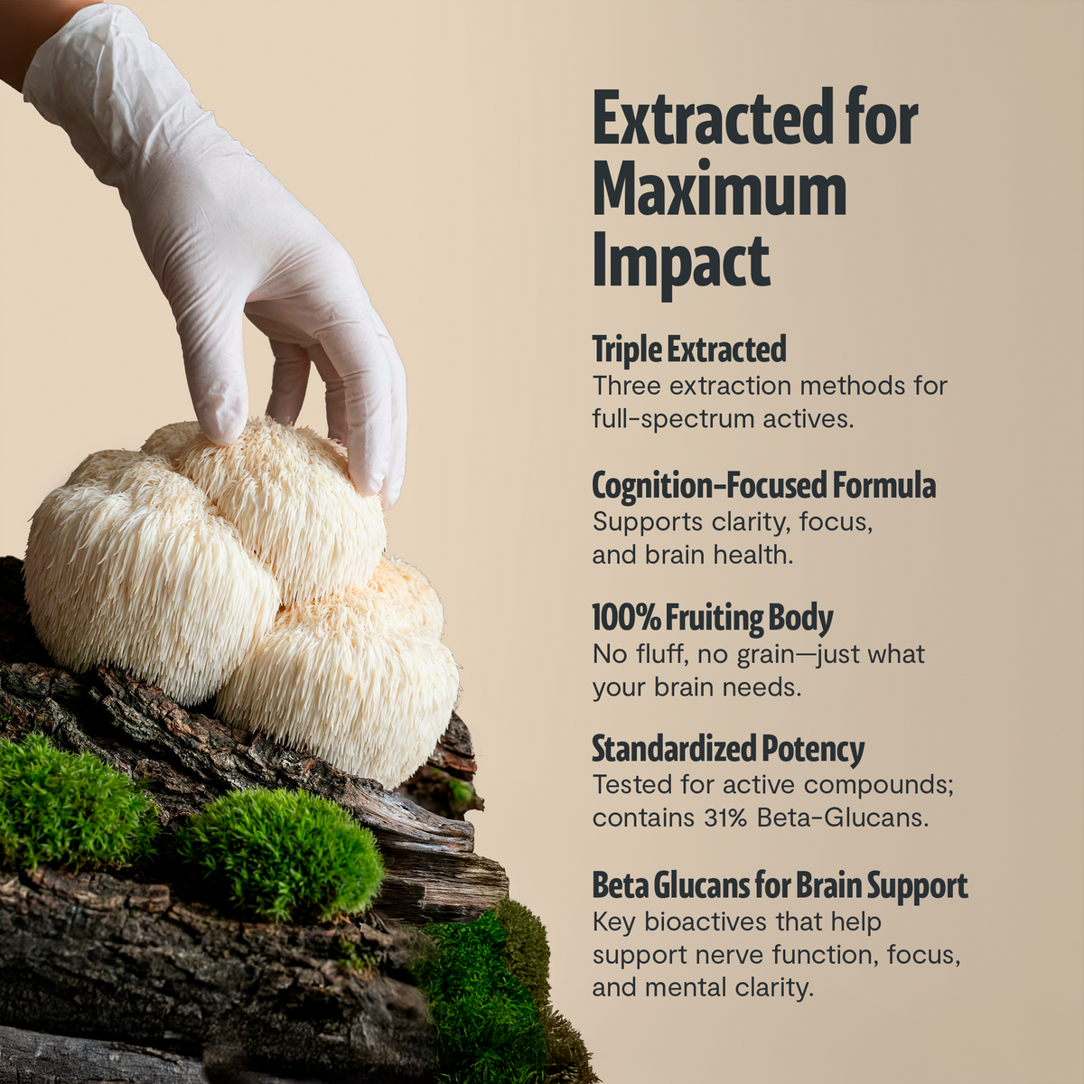 Organic Lion's Mane Capsules | FreshCap Mushrooms