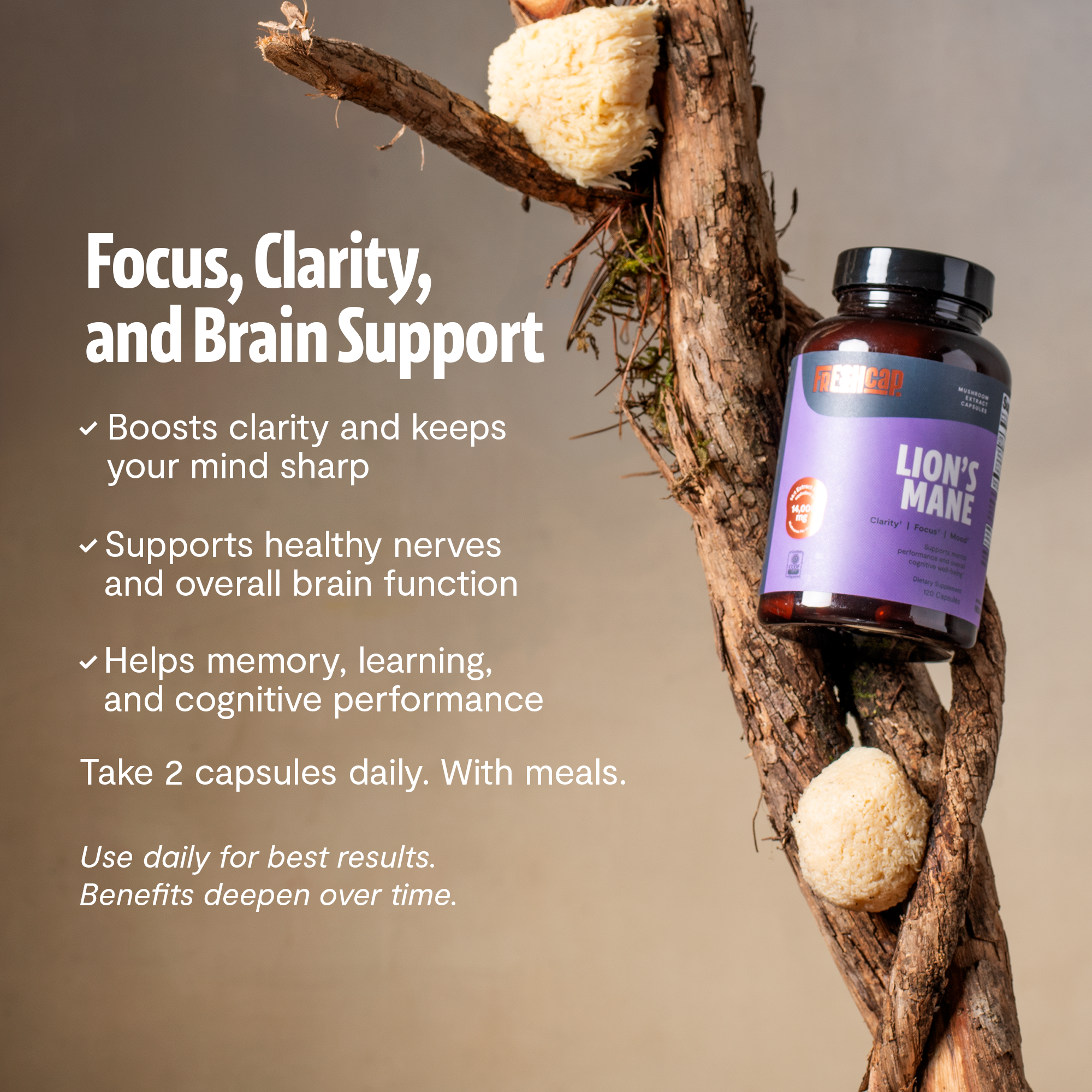 Organic Lion's Mane Capsules | FreshCap Mushrooms